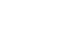 Logo Preloader